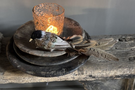 Set van 3 Kunst vogels Bird Paradise Nr 2